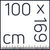100x169